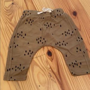 Rylee & Cru Tree Jogger 3-6 months